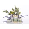 Natural Night Cream