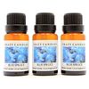 Blue Spruce (Made in USA) 3 Bottles 1/2 Fl Oz Each (15ml) Premium Grade Scented Fragrance Oil (Bluespruce an Excellent Christmas Tree Aroma)