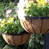 Kingfisher HB12G 12-Inch Hanging Basket