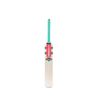 Gray-Nicolls Ventus 1.0 Warrior Cricket Bat (SZ5)