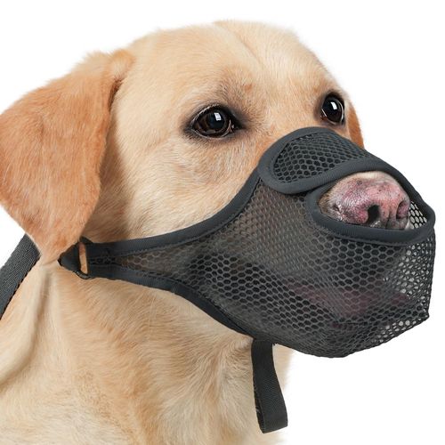 LUCKYPAW Dog Muzzle for Large Medium Small Dogs, Patented Mesh Muzzle to Prevent Biting Chewing Eating, Soft Mouth Guard with Front Opening Design for Drinking Panting(Black, S)