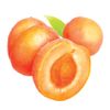 St Ives 150ml Fresh Skin Apricot Face Scrub (6 Pack)