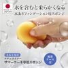 Wet Foundation Sponge Summer Cake Exclusive Sponge (Round Type with Carrying Case) [Naturactor]