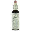 Bach Original Flower Essences, White Chestnut 0.7 fl oz (20 ml)