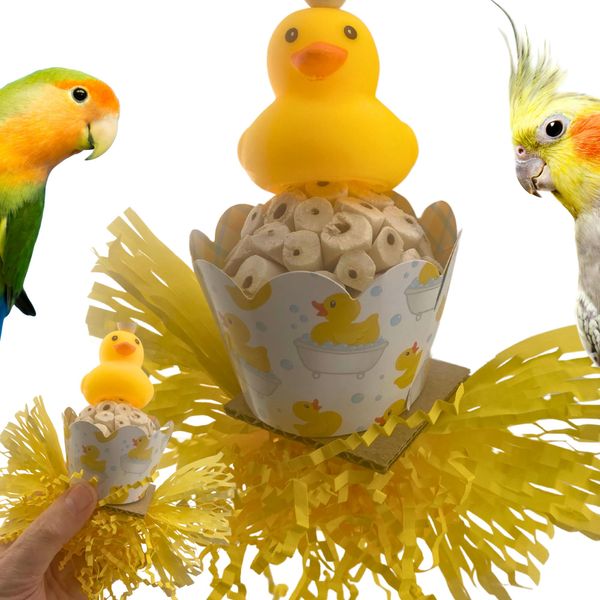 Bonka Bird Toys 2703 Ducky Bath Sola Atta Chew Small Parrot Cage Toy, Cockatiel, Parakeet, Lorie, and Similar Breed Sizes