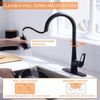 Ruvida Kitchen Faucets,Matte Black Kitchen Faucet, with Pull Down Sprayer