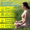 Mullein Gummies 2000mg for Lungs, Enhances Immune Function, Promotes Digestive Health, Mullein Leaf Extract for Lung