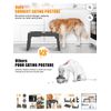 Elevated Dog Bowl Slow Feeder No Spill