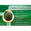Immune support coenzyme q10 - GRAPE SEED EXTARCT – SPIRULINA COMBO - grape seed