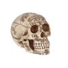 Nemesis Now Spirits 20cm Figurine, Ivory, One Size