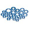 Winter Evening - for Axial Wraith & Spawn Bearings Kit (24 Pcs)