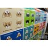 Chubby Cat Sticker Singapura MK-2