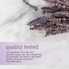 Now Essential Oils, Lavender Oil, 2 Fl. Oz (Pack of 1)