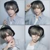IOZO mens03 Men's Wig, Short, Full Wig, Medium, Black, Wig, Men's Clothing, Students, Interviews, Work, Gentleman, Disguise, Cosplay, T3-ash grey, Free Size
