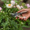 Kent & Stowe KS Garden Life Snips