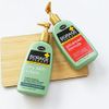 ShiKai Borage Therapy Advanced Formula Body Moisturizer (16 oz) | Fragrance Free | Hydrating Lotion for Dry Hands & Body | With Oatmeal & Shea