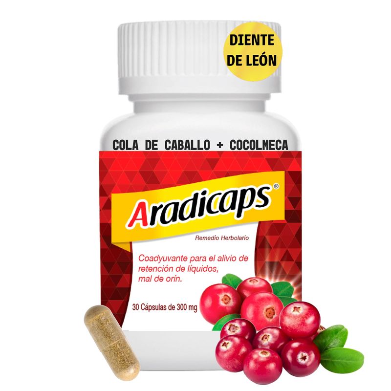 Aradicaps Remedio, Herbolario con Extracto de Arandano Diente de Leon ...