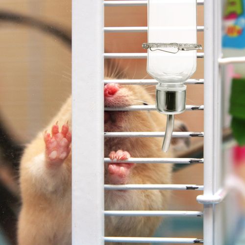 POPETPOP 2 Pcs Pet Cage Water Bottle, Small Animal Hanging Water Feeding Bottle No Drip, Hamster Water Feeder for Rabbit, Guinea Pig, Hedgehog, Chinchilla(350 ml)
