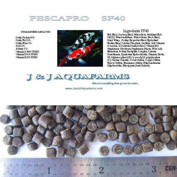 SF40 40% 3 lb Health & Growth Sinking pellet cichlid pacu tropical fish food