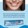 Bilka Dent Expert Clean & White Toothpaste Stain Whitening Toothpaste