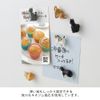 Midori 43427006 Mini Magnets, Set of 6, Cat Pattern