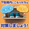 Non-Smell Dry Dehumidification Deodorizer for Shoes