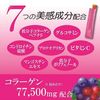 Earth Pharmaceutical Collagen C Jelly for 1 Month 0.4 oz (10 g) x 31 Bottles