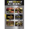 REYS レイズ 【 V ENERGY 】 Vエナジー 山澤礼明 監修 マルチビタミン タブレット 亜鉛 マカ 高麗人参 アルギニン トンカットアリ 牡蠣エキス ビタミン13種配合 栄養機能食品 国産
