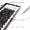 Lash FX 0.20 x 12 mm Mink C Curl Lashes