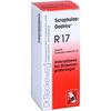 Scrophulae-Gastreu R17 Tropf., 50 ml MIS
