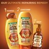 Garnier Whole Blends Honey Treasures Repairing Conditioner 2 Count Pack