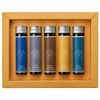 Jacques Herbin Luna Essential Ink Set, Includes Five 15ml Tubes of Ink
