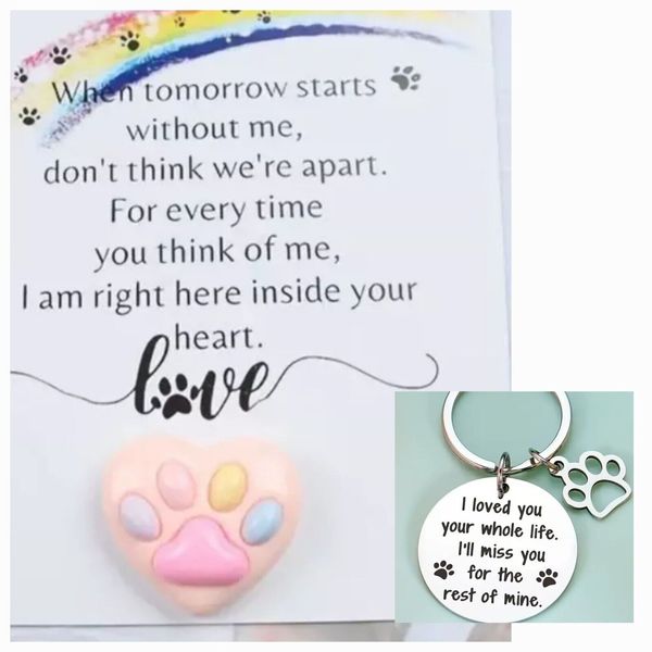 A Message From Rainbow Bridge + Keyring Bagcharm Pet Loss Of Cat Dog +Paw