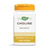 Nature's Way Choline, 500 mg per serving, 100 Tablets (Pack of 2)