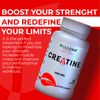 CREATINE Monohydrate - Muscle Growth - Strength, Performance & Recovery - 60 Cap