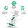 Sugar Shield Naturals- Blood Support- 60 Capsules