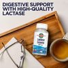 Lactase Enzyme Supplement 60 Softgels for Lactose Digestion Support