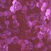 Stargazer Biodegradable Chunky Glitter Shaker - Fushia. Festival Friendly Biodegradable Cosmetic Glitter