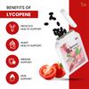 Ved Lycopin Supplement | 50mg x 90 Softgel