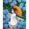 たまゆら~もあぐれっしぶ~ 第2巻 [DVD]