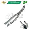 Dental Extracting Forceps #151AS Serrated, Split Beak For Lower Anterior 