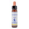 Healing Herbs/Flower Essence [Sucrancus]