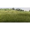 Woodland Scenics 12mm Static Grass Light Green