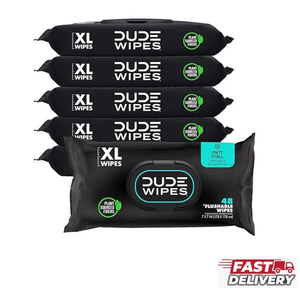 6 Pack Dude Wipes - Flushable Wipes 288 Wipes - Mint Chill Extra-Large Adult