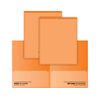 Vinyl Take-Home Folder - Orange (Pack of 24)
