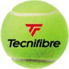 Technifibre TBA2XE1 Tennis Balls, X-ONE, 2 Balls, 1 Can