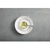 Lime and Salt Rimmer Margarita Set