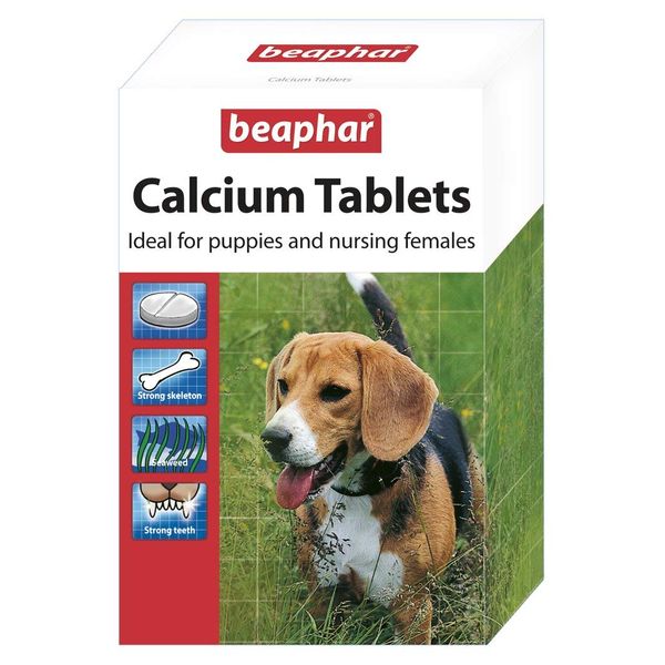2 x Calcium Tablets