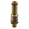TÜV Safety Valve Pressure Relief Valve Compressor 11 Bar G 1/2