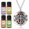 Dragonfly Pendant Necklace Essential Oil Diffuser Aromatherapy Gift Set 17 Piece